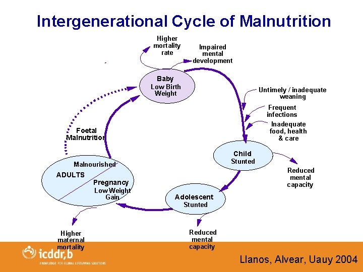 Intergenerational Cycle of Malnutrition Higher mortality rate Impaired mental development Baby Low Birth Weight