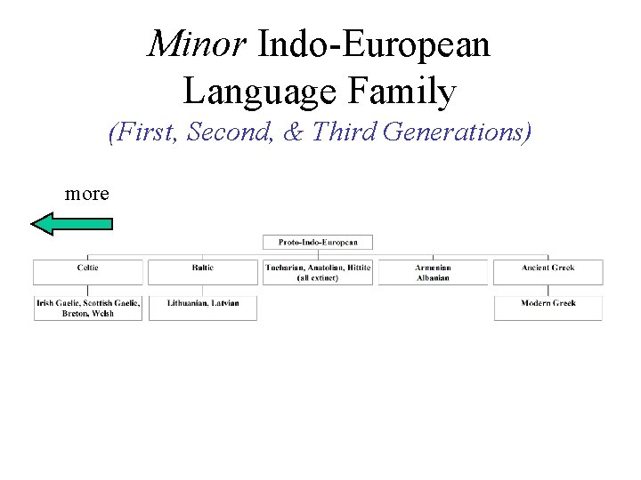 Minor Indo-European Language Family (First, Second, & Third Generations) more 