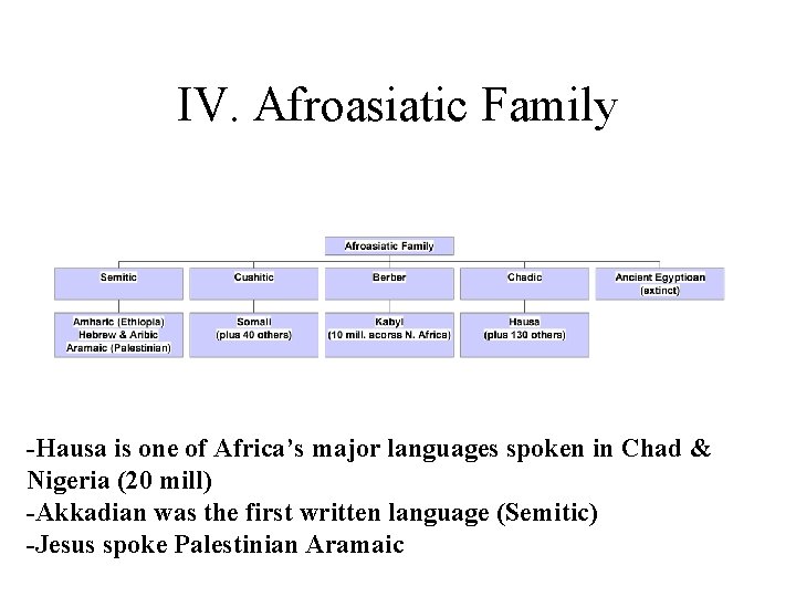 IV. Afroasiatic Family -Hausa is one of Africa’s major languages spoken in Chad &