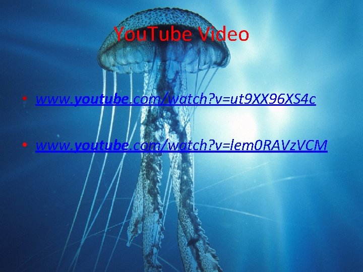 You. Tube Video • www. youtube. com/watch? v=ut 9 XX 96 XS 4 c