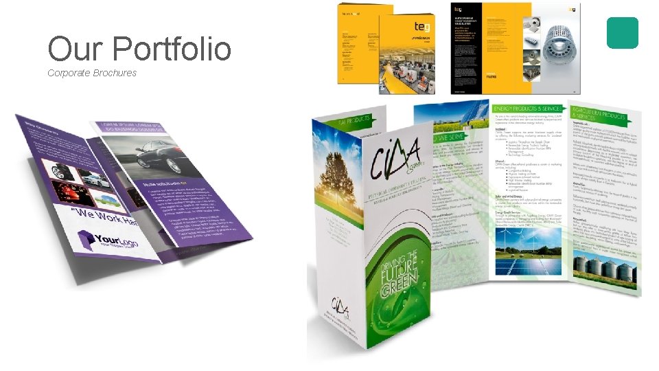 Our Portfolio Corporate Brochures 