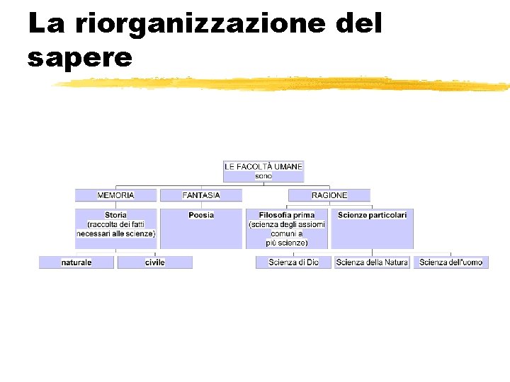 La riorganizzazione del sapere 