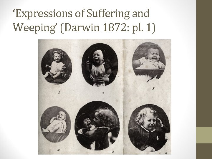 ‘Expressions of Suffering and Weeping’ (Darwin 1872: pl. 1) 