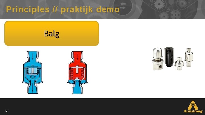 Principles // praktijk demo Balg 12 