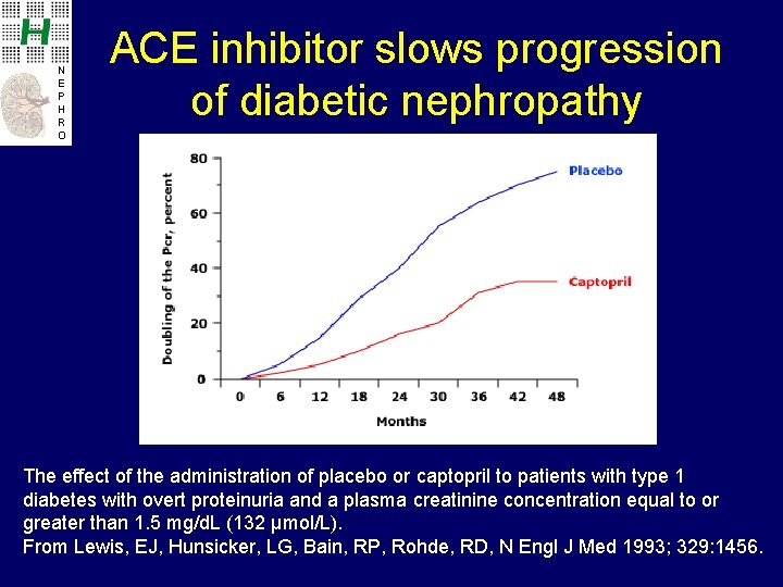 N E P H R O ACE inhibitor slows progression of diabetic nephropathy The