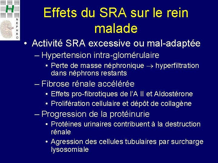 N E P H R O Effets du SRA sur le rein malade •