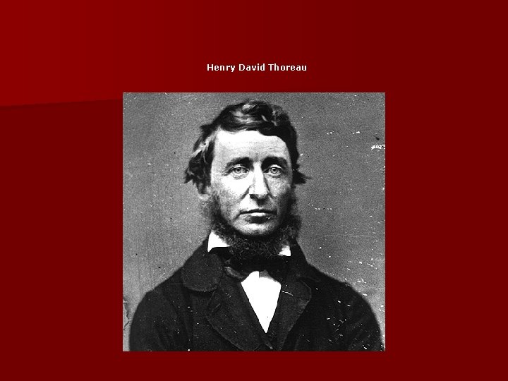 Henry David Thoreau 