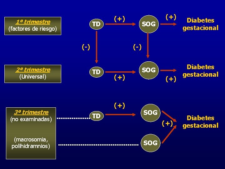 1º trimestre TD (factores de riesgo) (+) (-) 2º trimestre (Universal) 3º trimestre (no