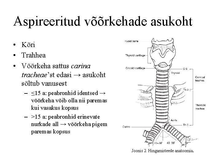 Aspireeritud võõrkehade asukoht • Kõri • Trahhea • Võõrkeha sattus carina tracheae’st edasi →