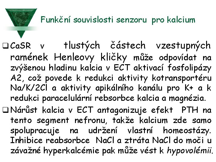 Funkční souvislosti senzoru pro kalcium tlustých částech vzestupných ramének Henleovy kličky může odpovídat na