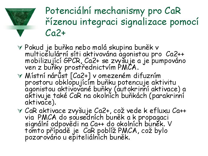 Potenciální mechanismy pro Ca. R řízenou integraci signalizace pomocí Ca 2+ Ú Pokud je
