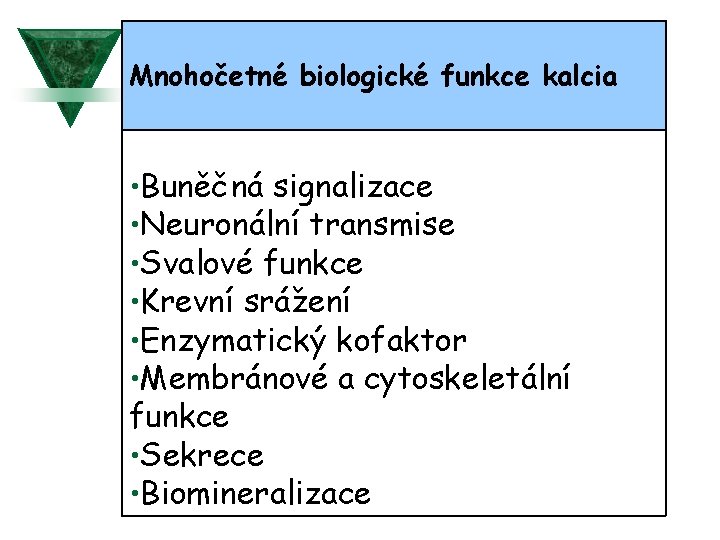 Mnohočetné biologické funkce kalcia • Buněčná signalizace • Neuronální transmise • Svalové funkce •