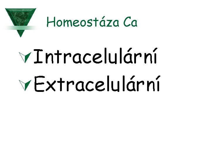 Homeostáza Ca ÚIntracelulární ÚExtracelulární 