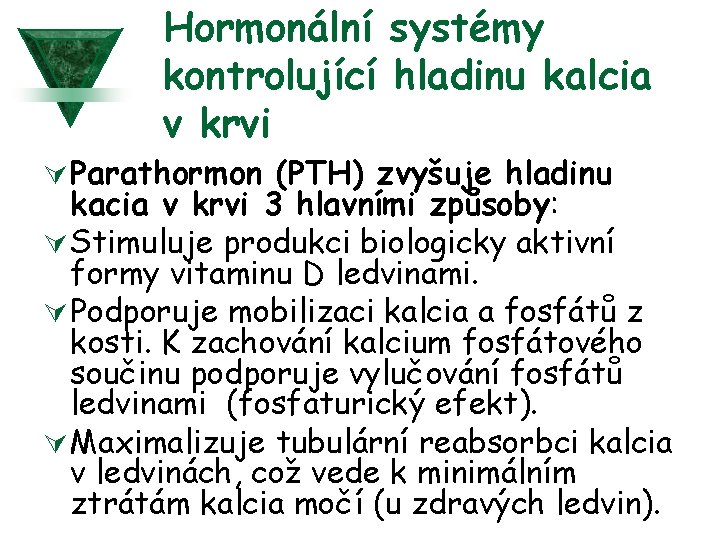 Hormonální systémy kontrolující hladinu kalcia v krvi Ú Parathormon (PTH) zvyšuje hladinu kacia v