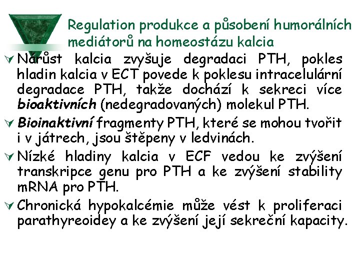 Regulation produkce a působení humorálních mediátorů na homeostázu kalcia Ú Nárůst kalcia zvyšuje degradaci