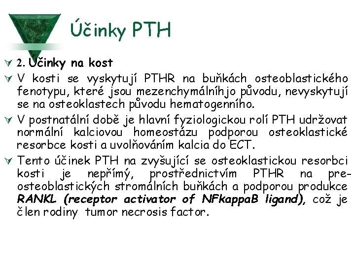 Účinky PTH Ú 2. Účinky na kost Ú V kosti se vyskytují PTHR na