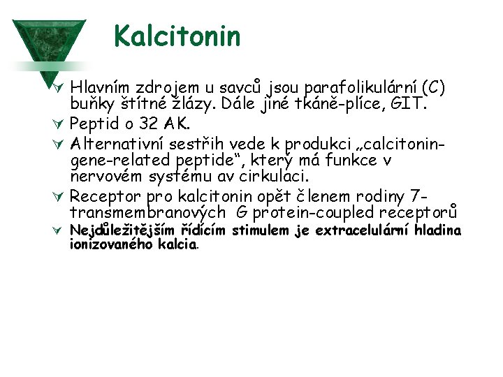 Kalcitonin Ú Hlavním zdrojem u savců jsou parafolikulární (C) buňky štítné žlázy. Dále jiné