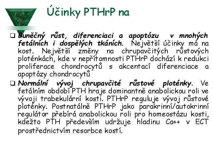 Účinky PTHr. P na q Buněčný růst, diferenciaci a apoptózu v mnohých fetálních i