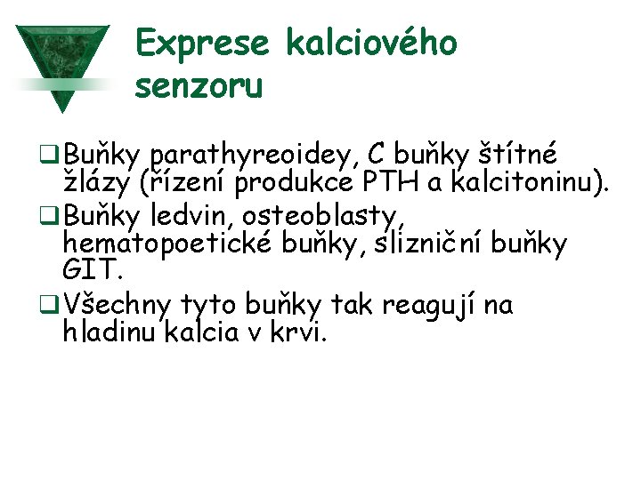 Exprese kalciového senzoru q Buňky parathyreoidey, C buňky štítné žlázy (řízení produkce PTH a