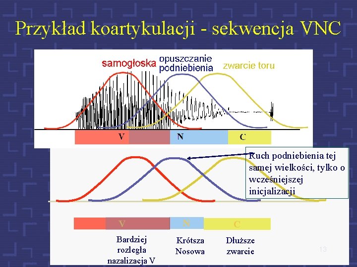 Przykład koartykulacji - sekwencja VNC Ruch podniebienia tej samej wielkości, tylko o wcześniejszej inicjalizacji