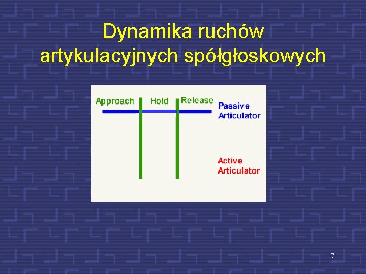 Dynamika ruchów artykulacyjnych spółgłoskowych 7 