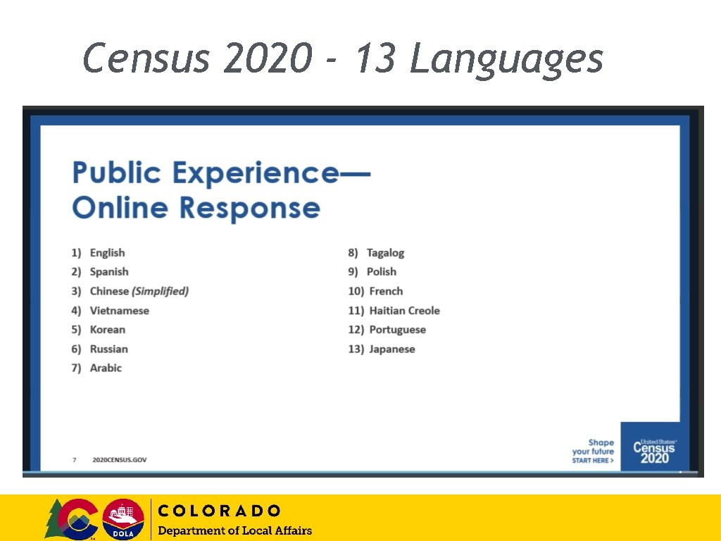 Census 2020 - 13 Languages 