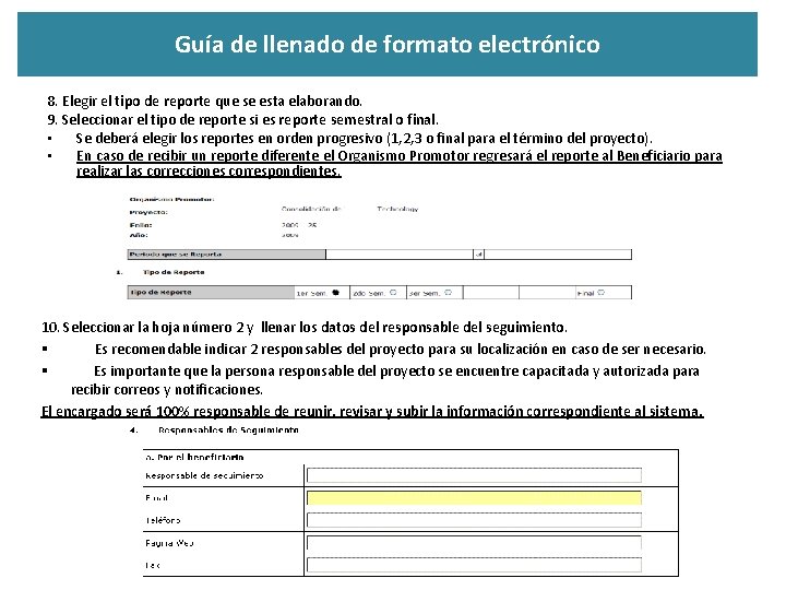 Guía de llenado de formato electrónico 8. Elegir el tipo de reporte que se