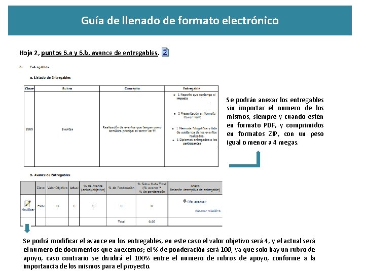 Guía de llenado de formato electrónico Hoja 2, puntos 6. a y 6. b,