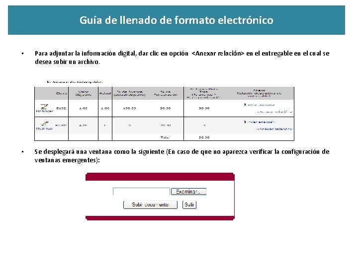 Guía de llenado de formato electrónico • Para adjuntar la información digital, dar clic