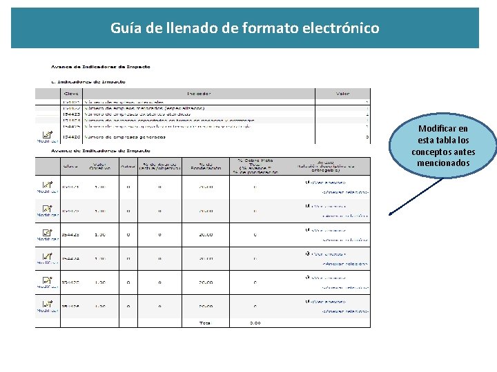 Guía de llenado de formato electrónico Modificar en esta tabla los conceptos antes mencionados