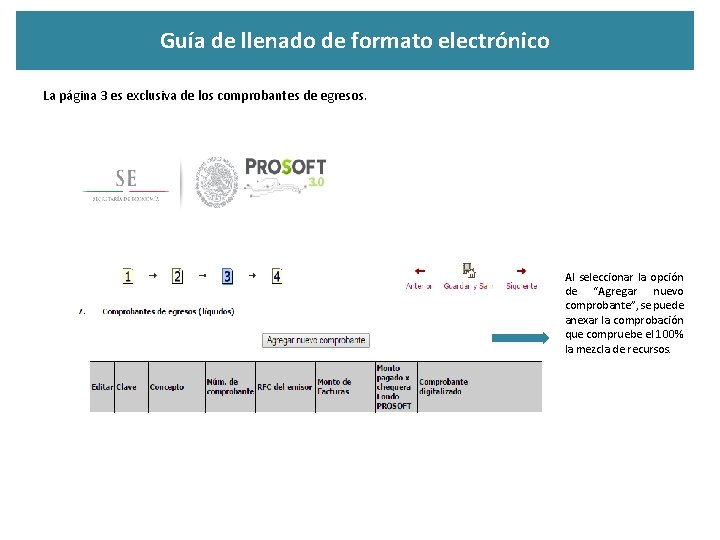 Guía de llenado de formato electrónico La página 3 es exclusiva de los comprobantes