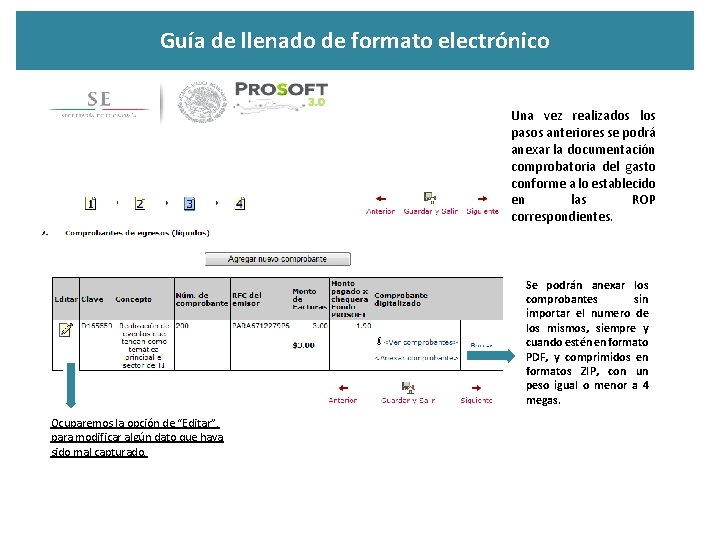 Guía de llenado de formato electrónico Una vez realizados los pasos anteriores se podrá