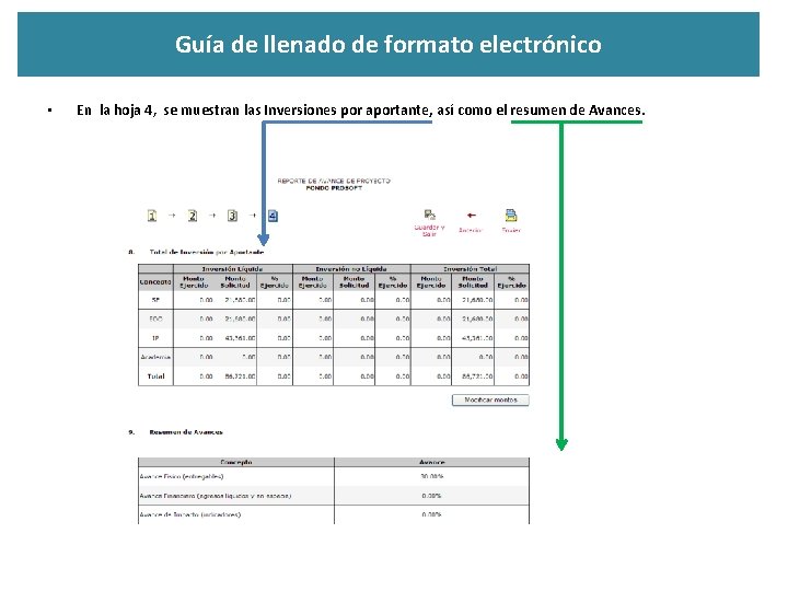 Guía de llenado de formato electrónico • En la hoja 4, se muestran las