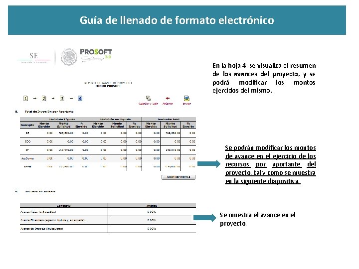 Guía de llenado de formato electrónico En la hoja 4 se visualiza el resumen