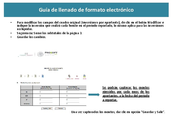 Guía de llenado de formato electrónico • • • Para modificar los campos del