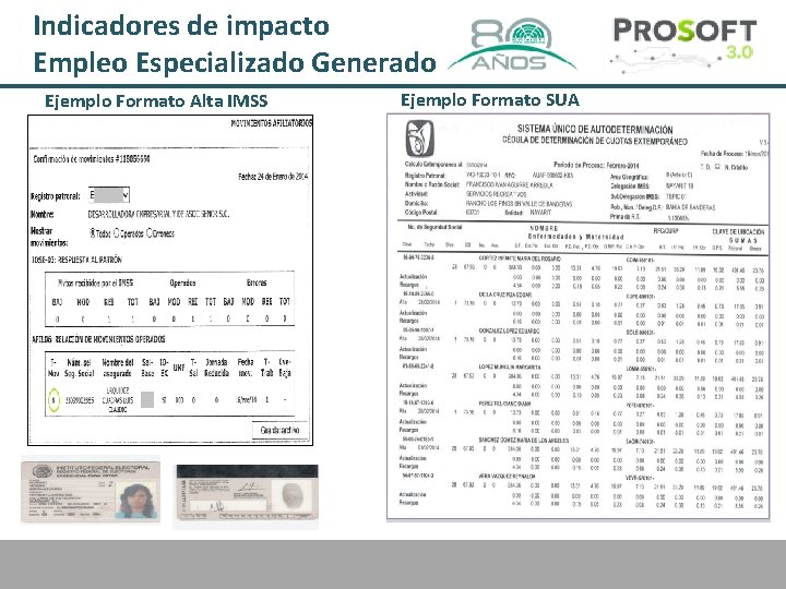 Indicadores de impacto Empleo Especializado Generado Ejemplo Formato Alta IMSS Ejemplo Formato SUA 