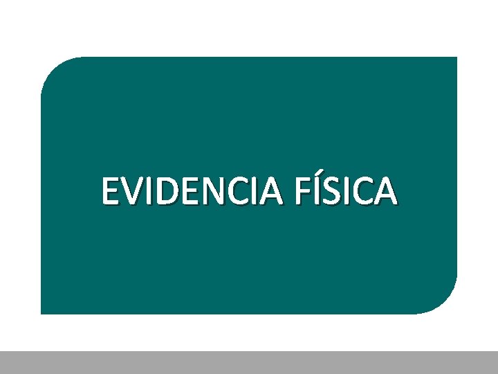 EVIDENCIA FÍSICA 