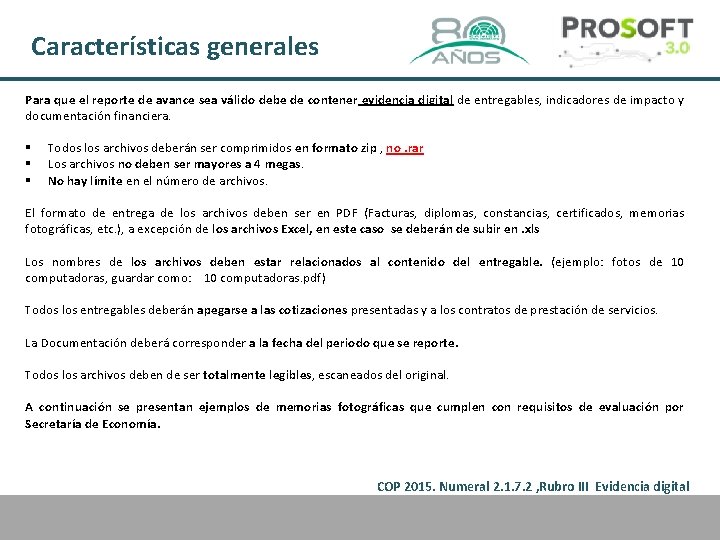 Características generales Para que el reporte de avance sea válido debe de contener evidencia