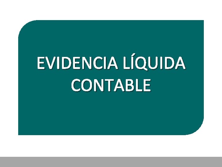 EVIDENCIA LÍQUIDA CONTABLE 