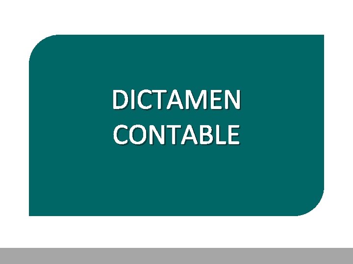 DICTAMEN CONTABLE 