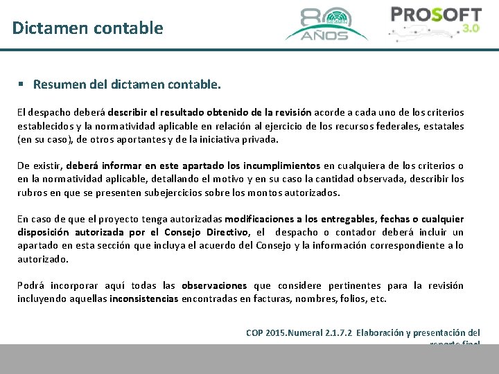 Dictamen contable § Resumen del dictamen contable. El despacho deberá describir el resultado obtenido