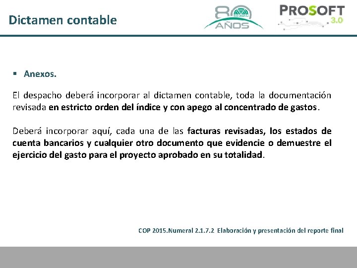 Dictamen contable § Anexos. El despacho deberá incorporar al dictamen contable, toda la documentación