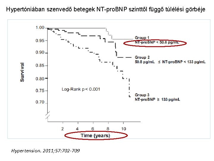 Hypertóniában szenvedő betegek NT-pro. BNP szinttől függő túlélési görbéje Hypertension. 2011; 57: 702 -709