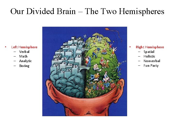 Our Divided Brain – The Two Hemispheres • Left Hemisphere – Verbal – Math