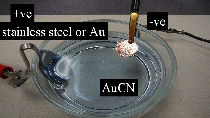 +ve stainless steel or Au Au. CN -ve 