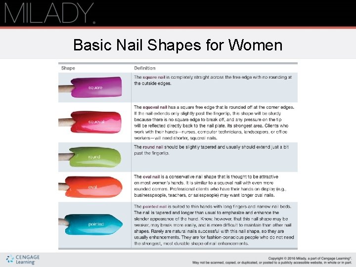 Basic Nail Shapes for Women 