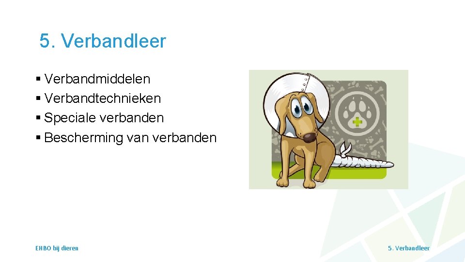 5. Verbandleer § Verbandmiddelen § Verbandtechnieken § Speciale verbanden § Bescherming van verbanden EHBO