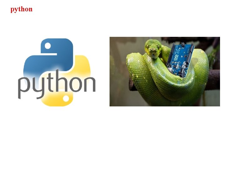 python 