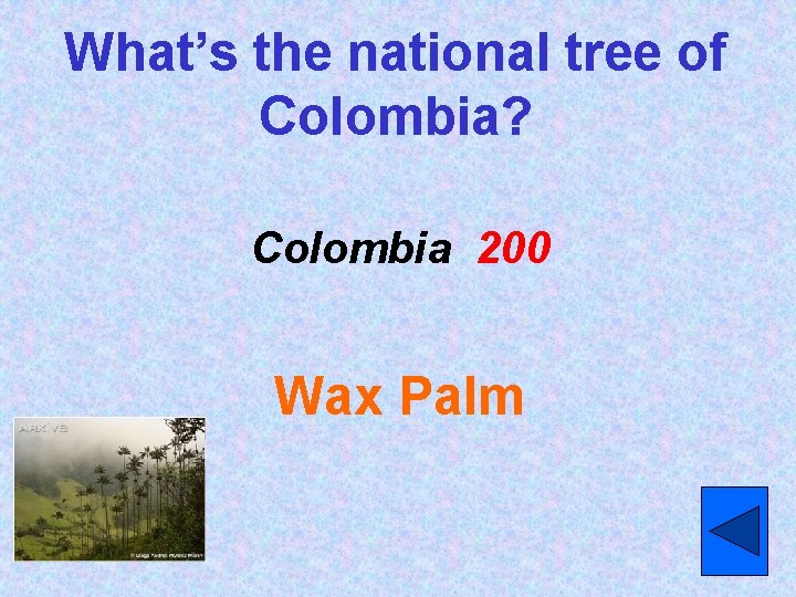 What’s the national tree of Colombia? Colombia 200 Wax Palm 