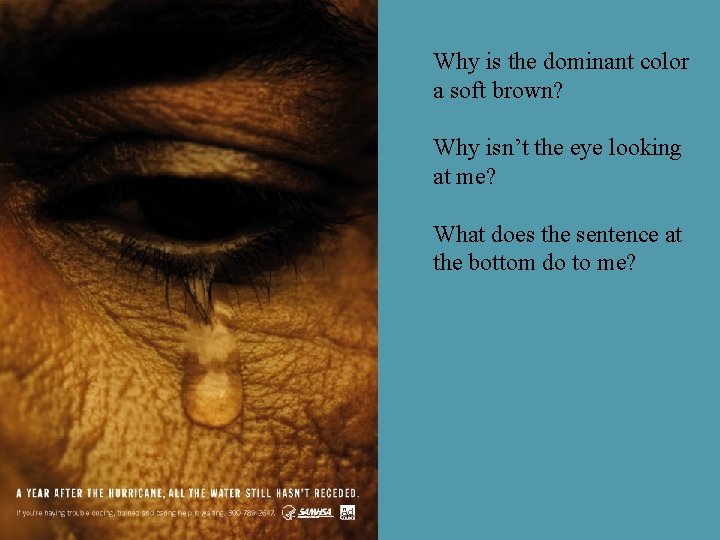 Why is the dominant color a soft brown? Why isn’t the eye looking at